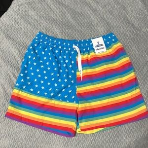Chubbies Pride Swim Trunks